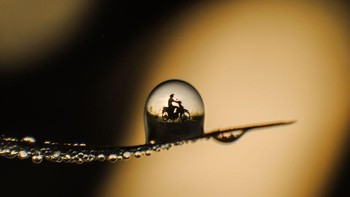 Sebuah foto yang menawan yang menampilkan seorang pengendara sedang melintas dan bidik melalui refleksi dari tetesan air di dedaunan. Istimewa/Dok. Boredpanda/wahyutoa.