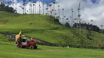 Inilah Cocora Valley yang terkenal karena pohonnya di Colombia. Istimewa/Dok. Boredpanda/dovscollection.