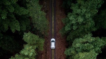 Potret dua buah mobil melintas di tengah hutan yang terlihat dari ketinggian sehingga menghasilkan komposisi yang memukau. Istimewa/Dok. Boredpanda/mimiscover.