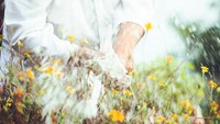 Soal menu, chef Mauro selalu menggunakan sayuran dari kebun sehingga bahan-bahan yang digunakan berkualitas yang baik. Ia bahkan membantu para petani dengan membeli bahan segar dari mereka. Foto: restaurantmirazur