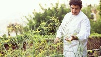 Soal hobi, chef Mauro ternyata sangat suka berkebun. Ia bahkan ingin memiliki kebun luas, lebih luas dari restorannya. Foto: restaurantmirazur