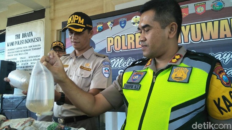 Pengiriman Baby Lobster Senilai Rp 2,6 Miliar ke Banten Digagalkan Pengiriman Baby Lobster Senilai Rp 2,6 Miliar ke Banten Digagalkan