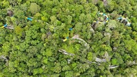 Saat dibuka nanti, seluncuran menawarkan sensasi petualangan meluncur selama empat menit mengular turun ke lereng sedalam 70 meter, melewati pemandangan hutan (ESCAPE)