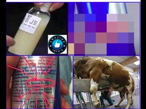 Minuman Energi Disebut Mengandung Sperma Banteng, Bagaimana Penjelasannya?