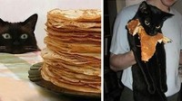 Sejak awal sudah melirik tumpukan crepes, kucing hitam yang satu ini tertangkap basah saat sedang menghabiskan crepes curiannya. Foto: Boredpanda
