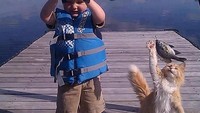 Diajak mancing, kucing imut ini tak bisa menahan rasa lapar dan memutuskan untuk mencuri ikan segar yang baru saja ditangkap oleh majikannya. Foto: Boredpanda