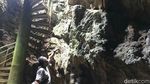 Foto: Heboh Batu Mirip Kepala Gajah di Purworejo