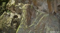 Batu mirip kepala gajah itu pertama kali ditemukan wisatawan di dalam objek wisata Goa Seplawan, Desa Donorejo, Kecamatan Kaligesing, Purworejo. (Rinto Heksantoro/detikcom)