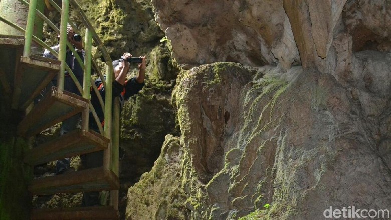 Batu Mirip Gajah di Goa Seplawan Purworejo (Rinto Heksantoro/detikcom) Batu Mirip Gajah di Goa Seplawan Purworejo (Rinto Heksantoro/detikcom)