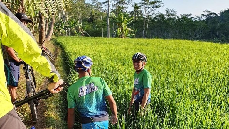 Duh! Saking Semangatnya Bersepeda, Sandiaga Nyemplung ke Sawah Duh! Saking Semangatnya Bersepeda, Sandiaga Nyemplung ke Sawah