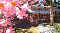 Istana Sakura berada di Dusun Kemloko, Desa Sidodadi, Kecamatan Garum Kabupaten Blitar. (Erliana Riady/detikcom)