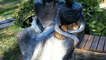 Pose tidur si meong ini bikin dirinya seperti lagi ditimang-timang. (Foto: Boredpanda.com)