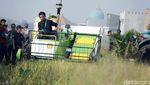 Pertanian 4.0, Tebar Benih Padi Pakai Drone