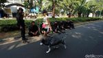 Potret Pengamanan Gedung KPU Jelang Penetapan Presiden Terpilih