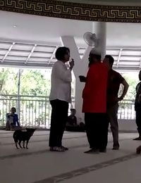 Anjing yang Dibawa Masuk Masjid Mati, Polisi Fokus Usut Perbuatan SM