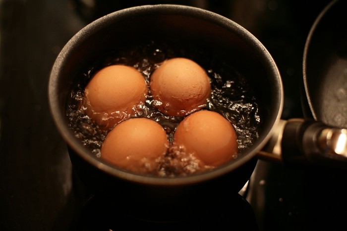 ilustrasi telur