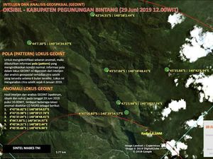 Heli TNI yang Hilang Juni 2019 Diduga Ditemukan di Pegunungan Bintang
