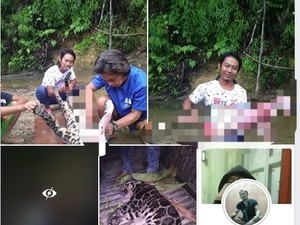 TKI yang Pose dengan Macan Dahan Dikuliti Ngaku Tak Menguliti