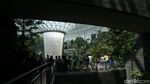 Di Jewel, Bisa Lihat Air Terjun Indoor Tertinggi di Dunia Sambil Makan Burger