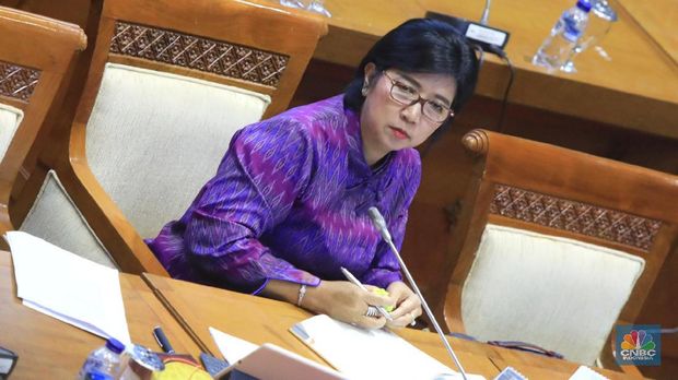 BIN Telusuri Rekam Jejak Calon BI-2 Destry Damayanti