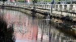 Aksi Pasukan Oranye Jaga Kebersihan Kali Item Kemayoran