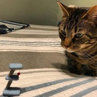 Kamu harus perhatikan ukuran dari barang yang akan dipesan saat belanja online, kalau tidak kejadiannya akan seperti ini. Foto: Istimewa