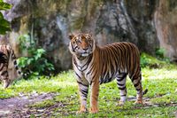 (iStock)