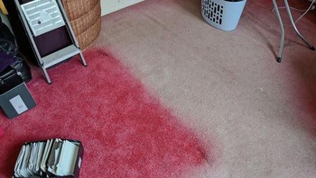 Ketika tempat tidur yang selama berpuluh tahun diangkat, terlihat perbandingan warna karpet. Foto: Demilked