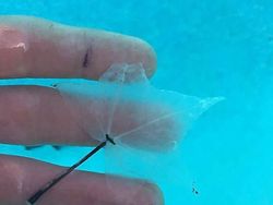 Foto Bukti Waktu Mengubah Segalanya