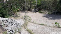 Salah seorang petani di Kecamatan Gedangsari, Sumardi (40) mengatakan, bahwa keringnya lahan padi di Desa Hargomulyo karena hujan yang tak kunjung turun mulai pertengahan bulan April hingga saat ini. Akibatnya, petani mengalami krisis air dan berujung pada gagal panen.