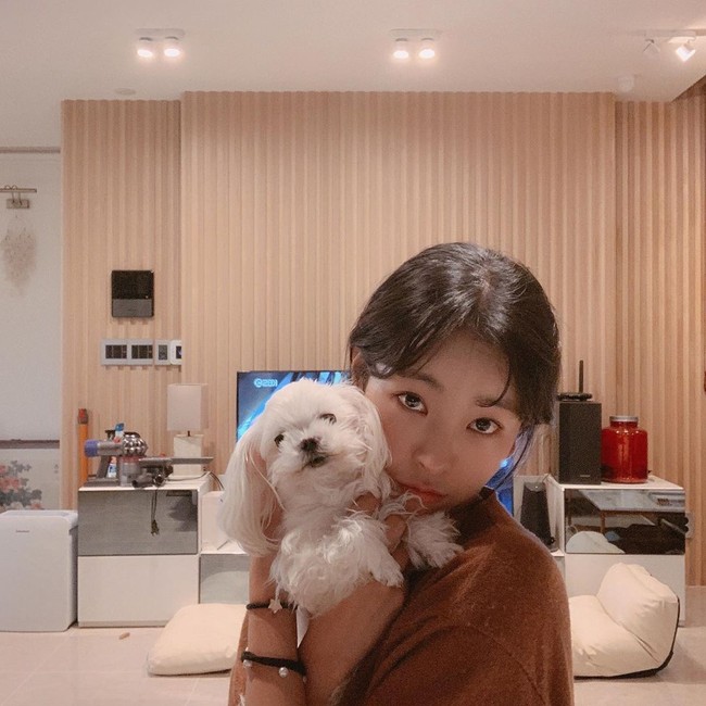 Dalam jumpa pers baru-baru ini, Go Won-hee membenarkan dirinya telah melakukan operasi plastik. Itu adalah fakta, ucapnya kepada wartawan baru-baru ini. Foto: Instagram