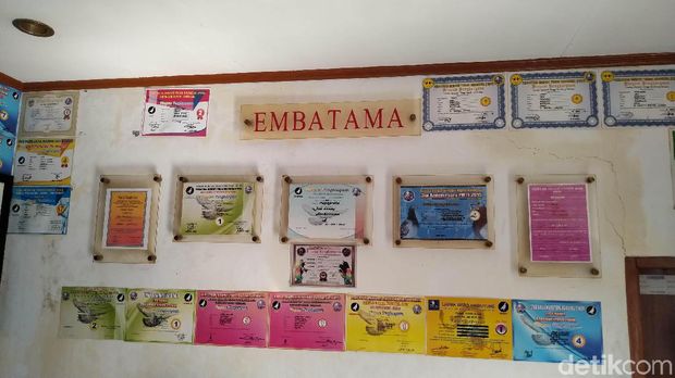 Ragam Prestasi Merpati 'Jayabaya' yang Laku Dijual Rp 1 Miliar