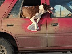 Foto Bukti Waktu Mengubah Segalanya