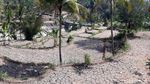 Potret Kekeringan yang Sebabkan Gagal Panen di Gunungkidul