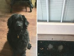 Foto Bukti Waktu Mengubah Segalanya