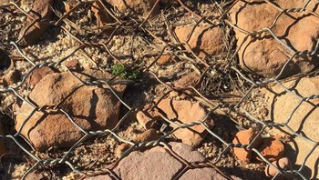 Lama-kelamaan batu pun menonjol ke permukaan. Foto: Demilked