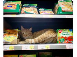 Suhu Tembus 45 Derajat, Netizen Eropa Curhat