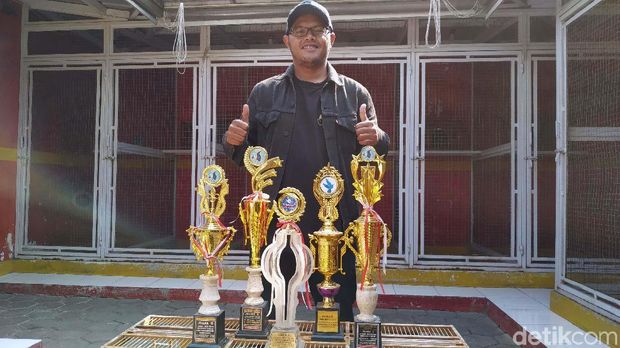 Seekor Merpati Jawara Milik Aris Laris Rp 1 Miliar