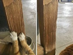 Foto Bukti Waktu Mengubah Segalanya