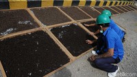 Hasil sampah non organik bisa digunakan untuk bahan bakar memasak, sementara hasil sampah organik dapat digunakan untuk bahan bakar pembangkit listrik tenaga gas Indonesia Power Unit Pembangkitan (UP) Bali.