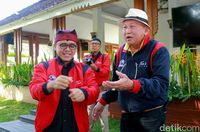 (Ardian Fanani/detikcom)