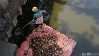 Satu per satu sampah yang mengambang di Kali Item dikumpulkan oleh petugas.