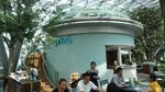 Di Jewel, Bisa Lihat Air Terjun Indoor Tertinggi di Dunia Sambil Makan Burger