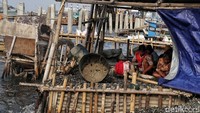Kawasan ini menjadi salah satu pemasok kerang hijau di Jakarta.
