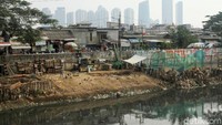 Sejumlah warga bermain burung dara di pinggiran Sungai Ciliwung, Banjir Kanal Barat, yang mulai surut, Jakarta, Selasa (2/7/2019).