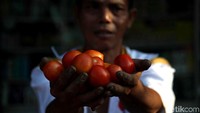 Suhariyanto mengatakan cabai merah memiliki andil 0,20%. Sedangkan ikan segar karena cuaca yang kurang mendukung inflasi 0,05%. Selebihnya aneka sayuran, seperti tomat cabai hijau hampir rata, kecil 0,01%.