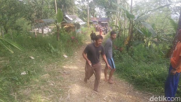 Polisi, anggota TNI, dan warga memburu babi hutan yang serang 4 orang di Banyumas. 