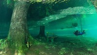 Air akan naik dari 1 m sampai 12 meter dari ketinggian biasa, hingga merendam pepohonan dan taman di sekitarnya, hingga kamu bisa diving. (Westend61 GmbH/Alamy/BBC)