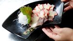 Miris, Jepang Kembali Legalkan Berburu Ikan Paus
