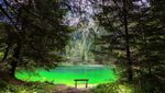 Foto: Danau Hijau Paling Unik di Dunia